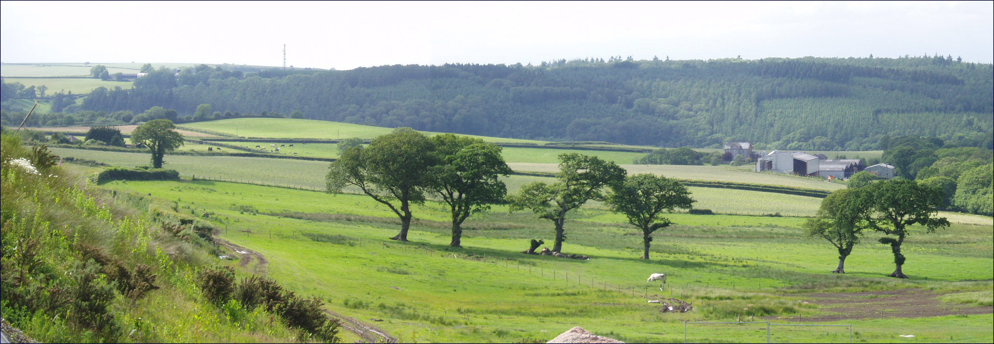 PHO:2018.06.12 - Okehampton expansion