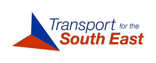 TfSE logo