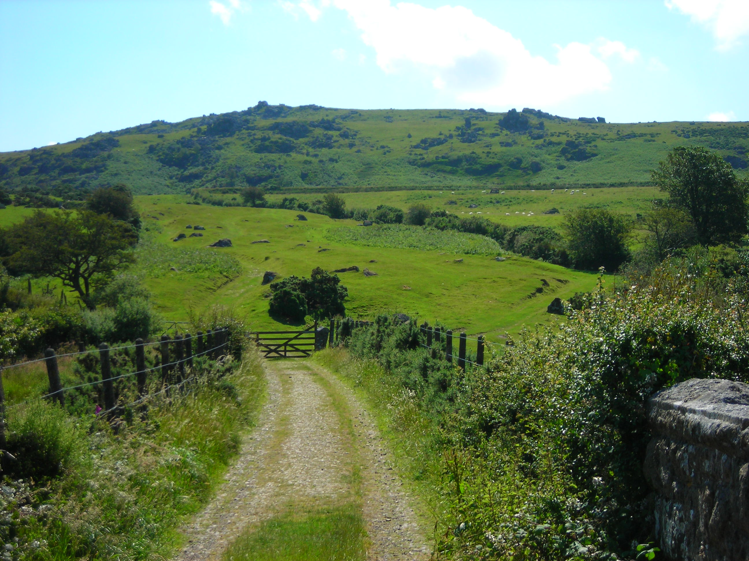 From alongside Sourton Church a path leads over the closed Okehampton to Bere Alston railway to Sourton Tors