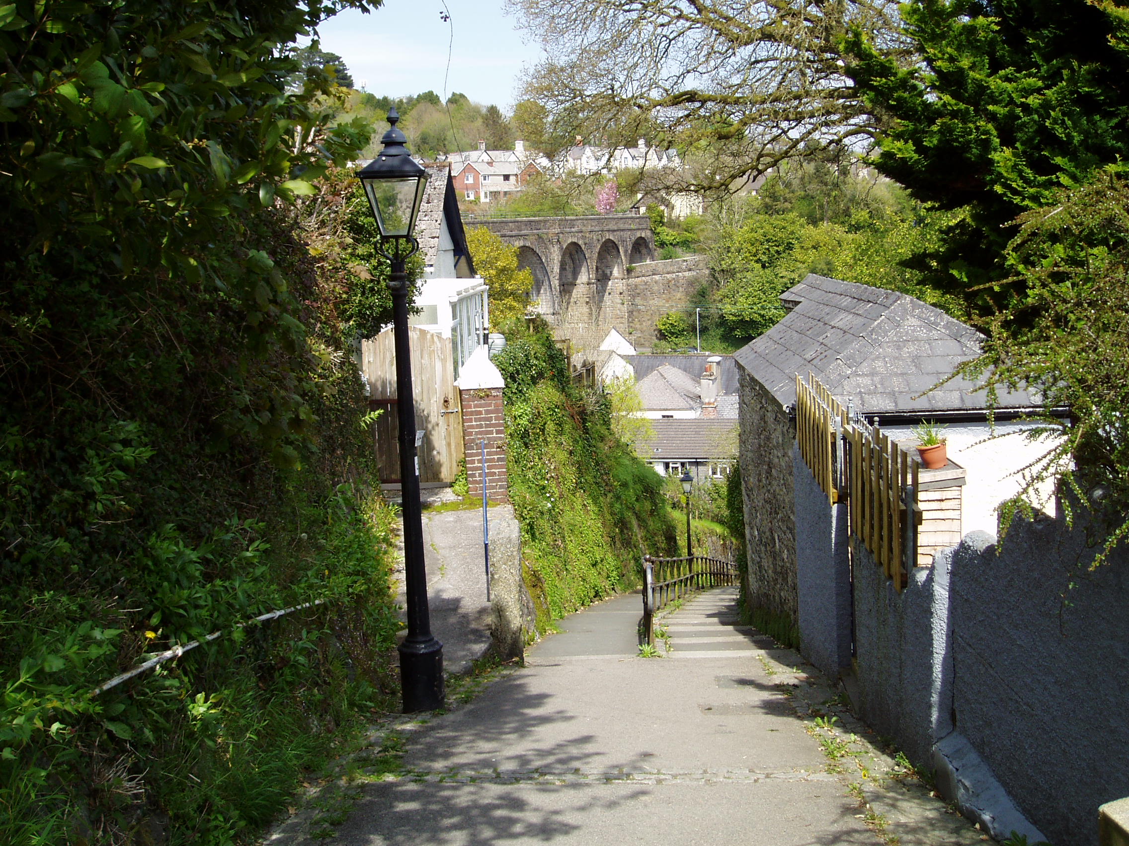 Madge Lane Tavistock 7 May 2016